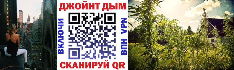 Бошки Шишки тримм  Горно-Алтайск 